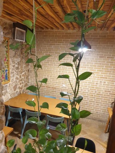 رستوران دوسی