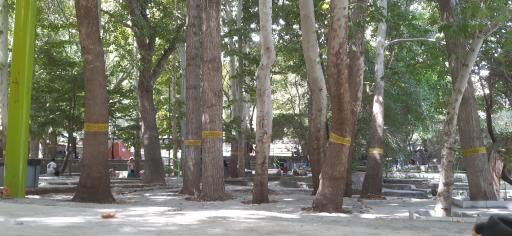 عکس پارک سرچشمه خوانسار