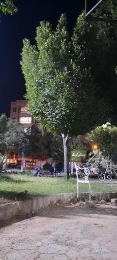 عکس بوستان کودک