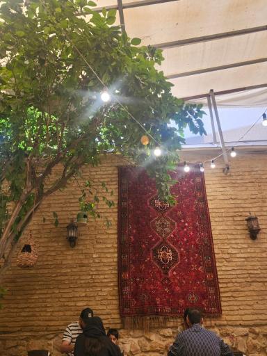 عکس رستوران دوسی