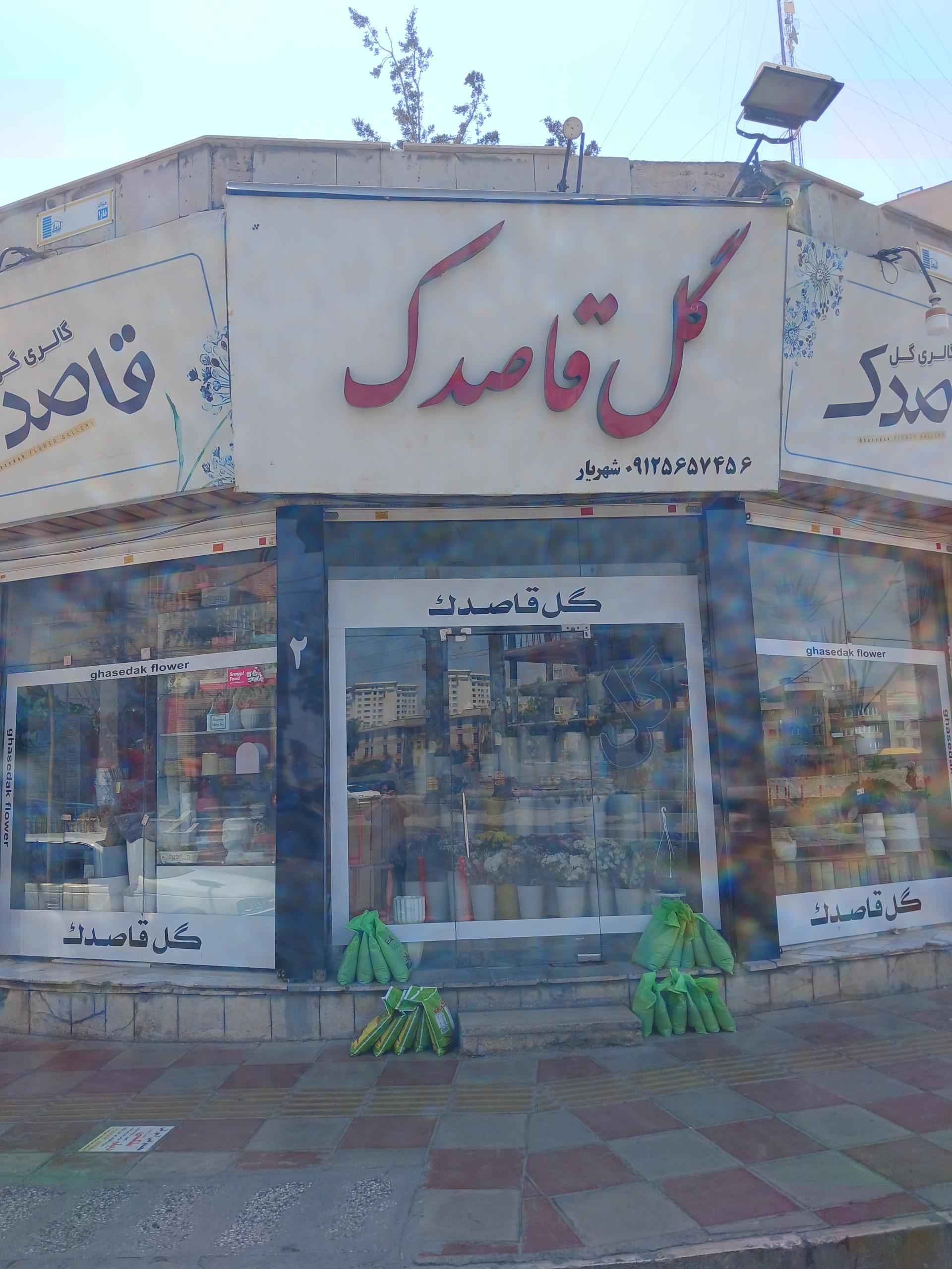 عکس گل فروشی قاصدک 