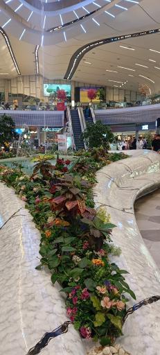 عکس سرای گردشگری سیمرغ