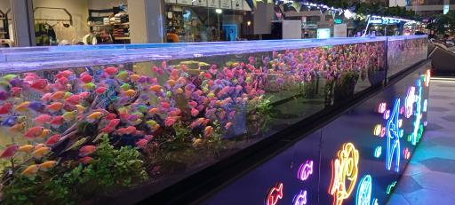 عکس سرای گردشگری سیمرغ