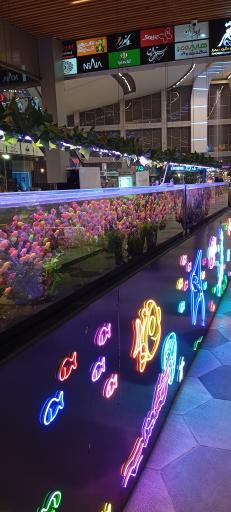 عکس سرای گردشگری سیمرغ