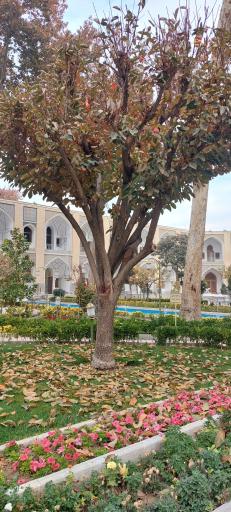 عکس هتل عباسی اصفهان