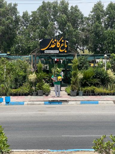 عکس باغ کاغذی 