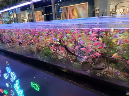 عکس سرای گردشگری سیمرغ
