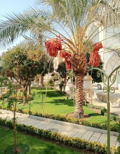 عکس هتل عباسی اصفهان