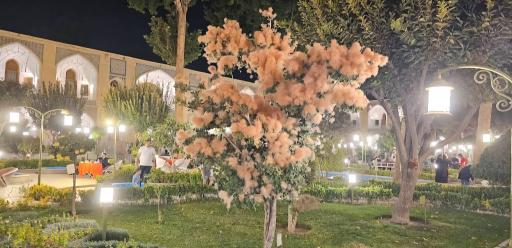 عکس هتل عباسی اصفهان