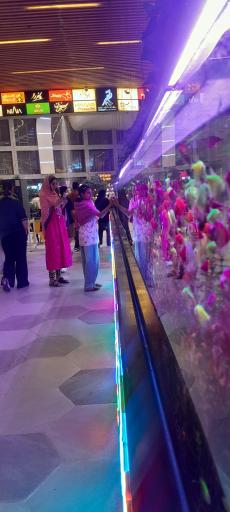 عکس سرای گردشگری سیمرغ