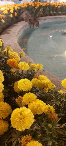 عکس هتل عباسی اصفهان