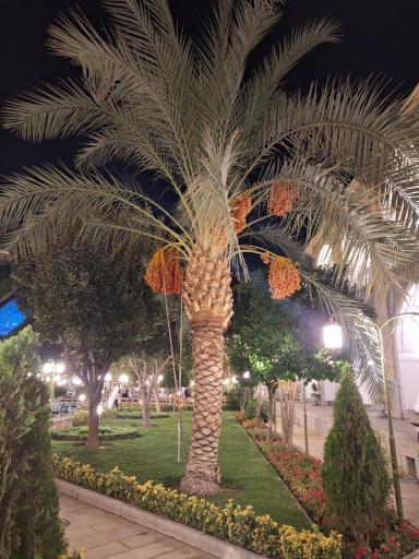 عکس هتل عباسی اصفهان
