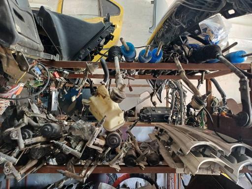 عکس استوک حمید (بهشتی)