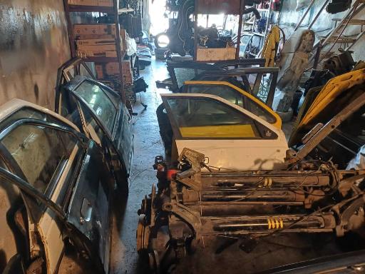 عکس استوک حمید (بهشتی)