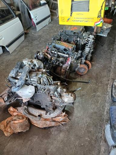 عکس استوک حمید (بهشتی)