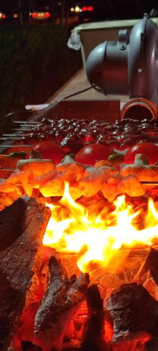 جگر کبابی دربار