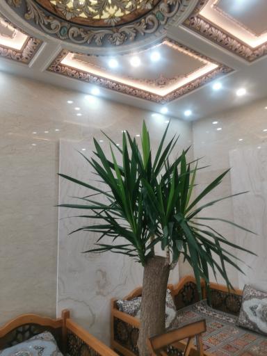 رستوران یاس