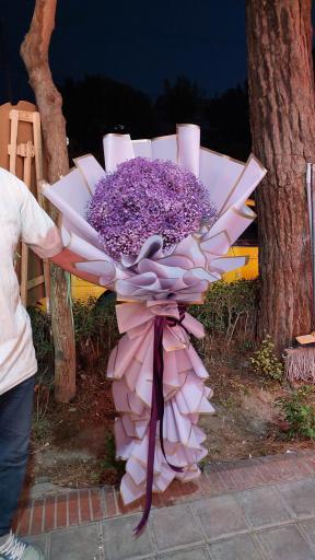 عکس گل فروشی بهار ۵۹۲