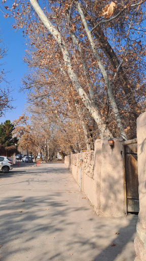 عکس آفرینشگاه خواهران