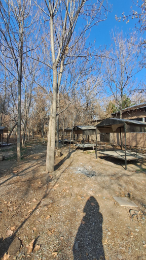 عکس آفرینشگاه خواهران