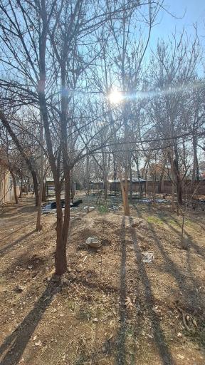 عکس آفرینشگاه خواهران