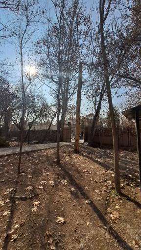 عکس آفرینشگاه خواهران