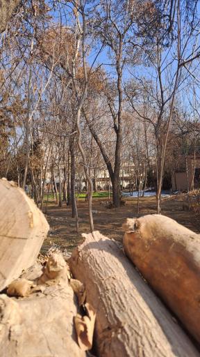 عکس آفرینشگاه خواهران