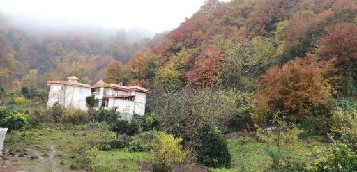 عکس خانه مسافر جنگلی داداشی