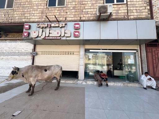 عکس قصابی و لبنیاتی دامداران