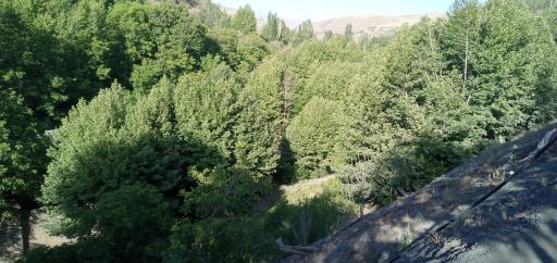 عکس رودخانه شیرآباد