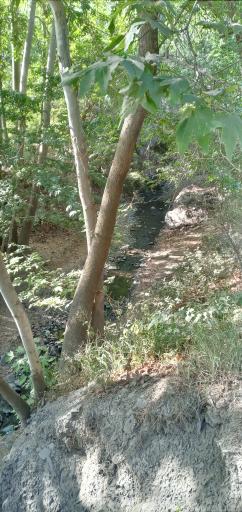 عکس رودخانه شیرآباد