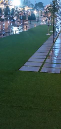 عکس عمارت رز امیر