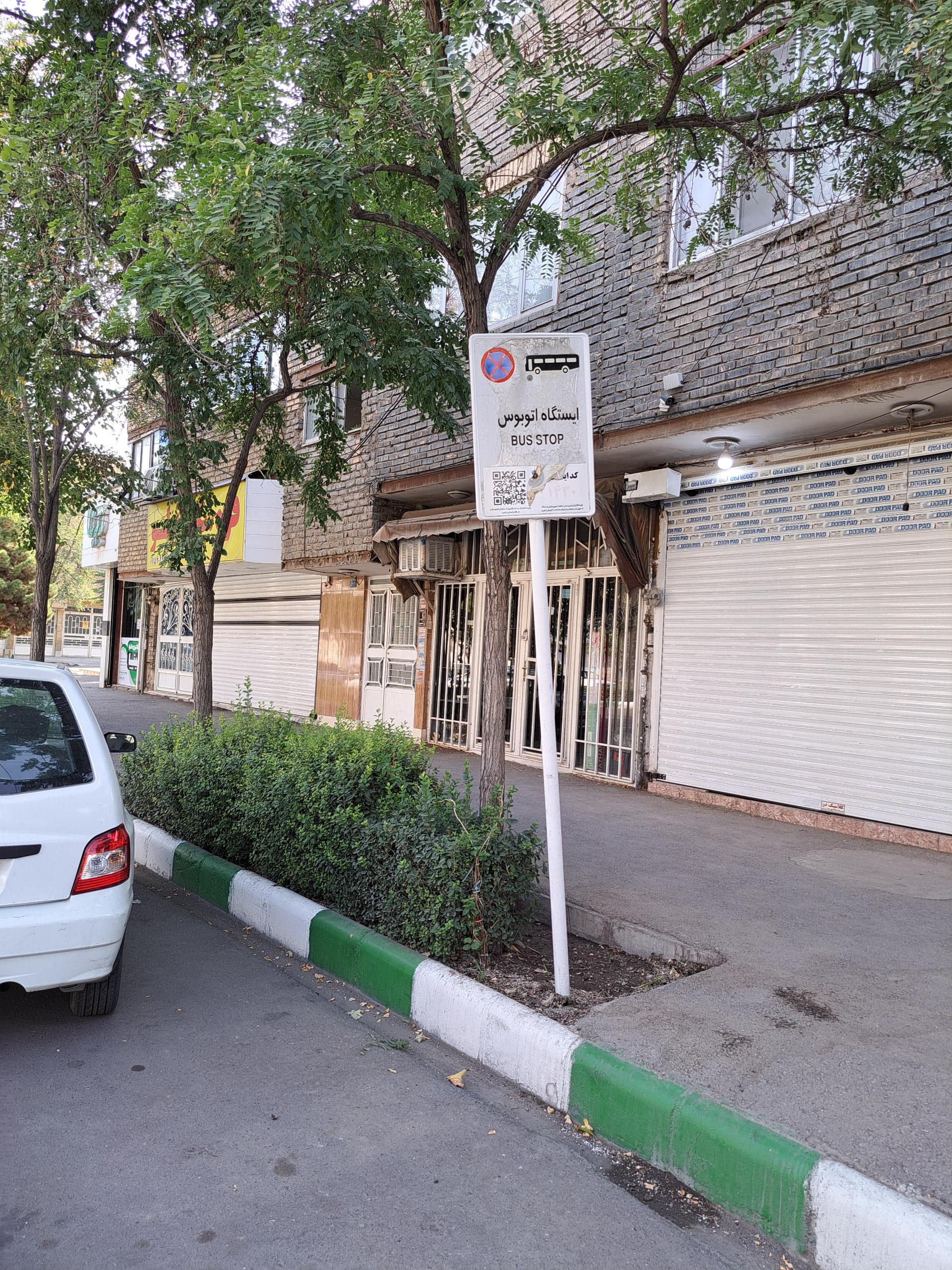 عکس  میدان معلم