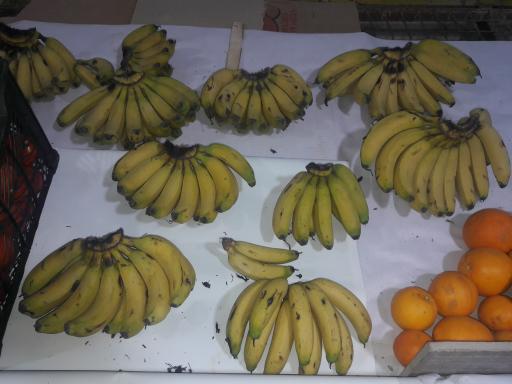 عکس میوه فروشی فیروزه