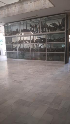 عکس دانشگاه پیام نور نجف آباد