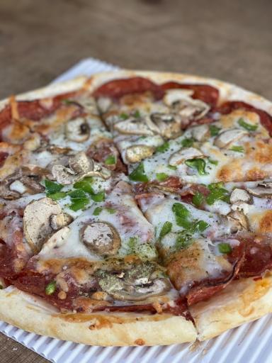 عکس پیتزا آویش