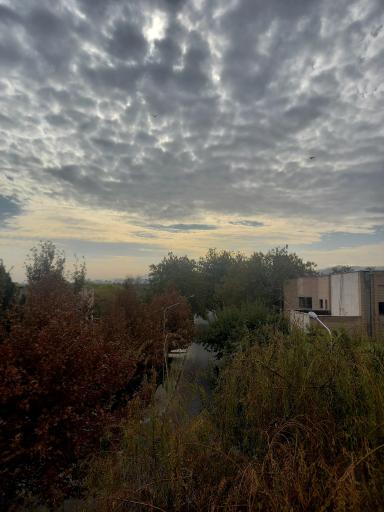 عکس دانشکده کشاورزی