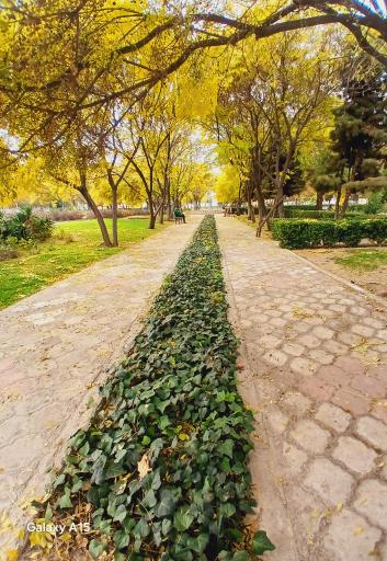 عکس دانشکده کشاورزی