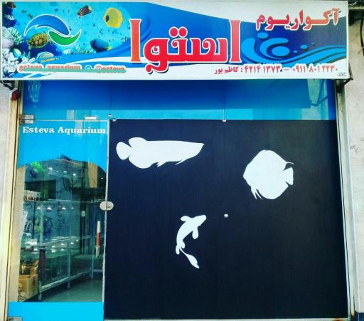 عکس آکواریوم استوا
