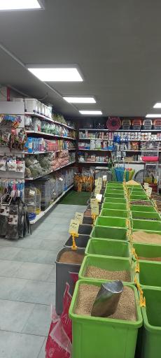 عکس پخش دان  پرندگان و پت شاپ فراز