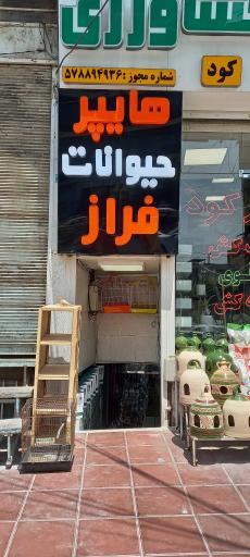 عکس پخش دان  پرندگان و پت شاپ فراز