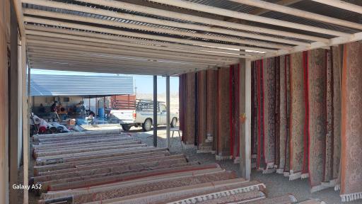 عکس قالیشویی  داریوش