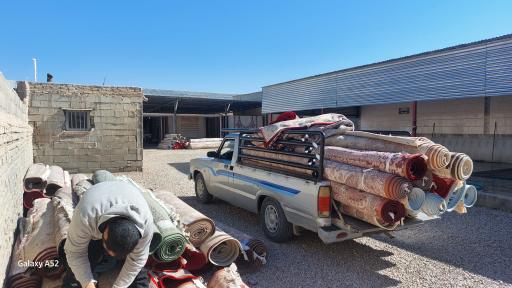 عکس قالیشویی  داریوش