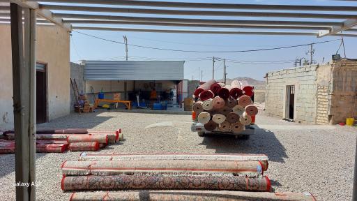 عکس قالیشویی  داریوش