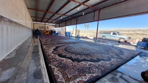 عکس قالیشویی  داریوش