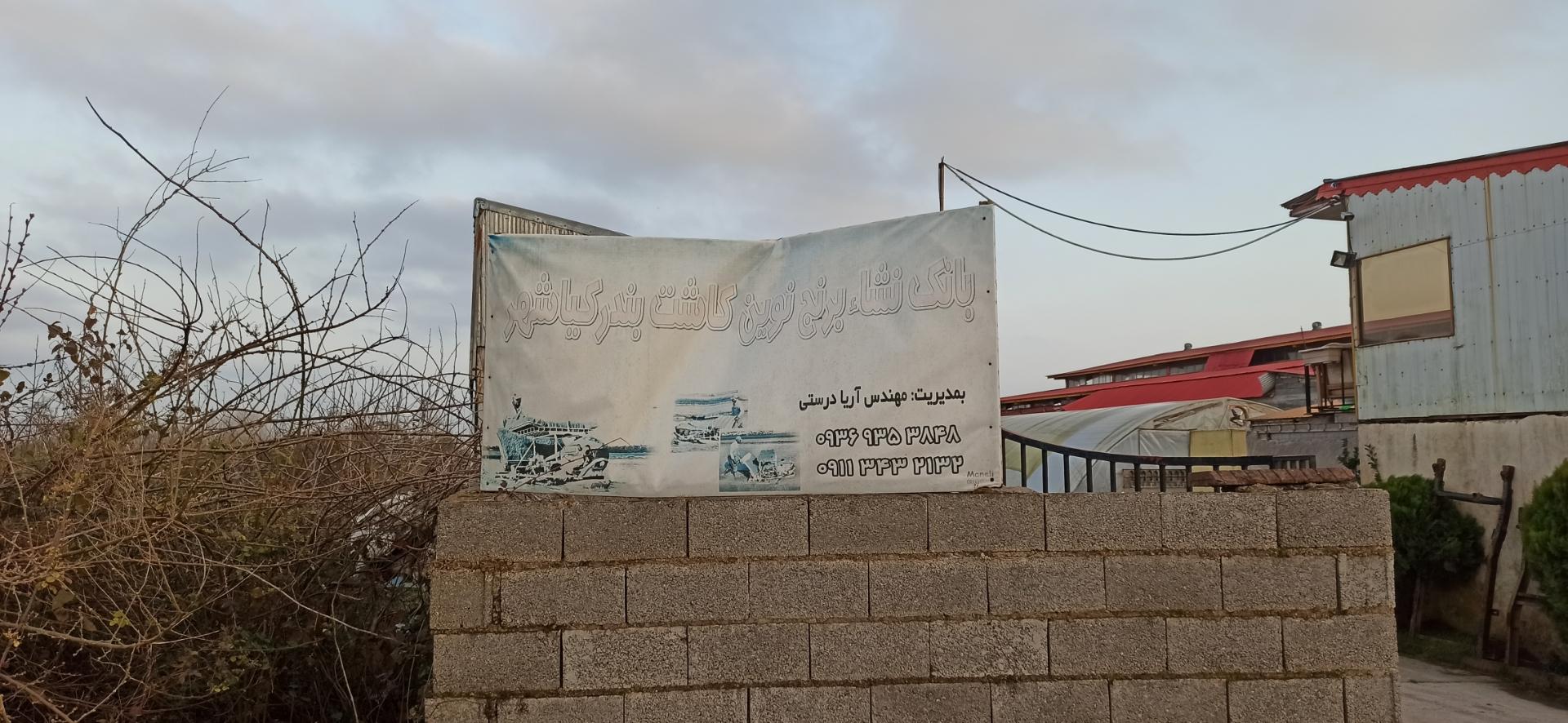 عکس بانک نشا نوین کاشت