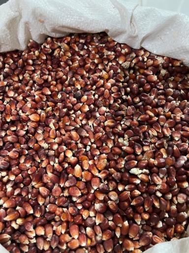 عکس فروشگاه خوراک دام و طیور و حبوبات عاشوری