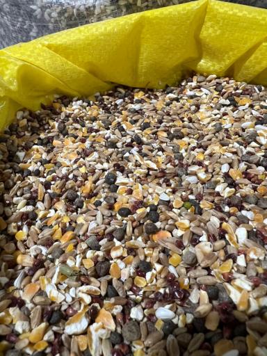 عکس فروشگاه خوراک دام و طیور و حبوبات عاشوری