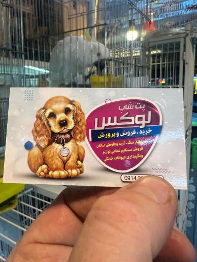 عکس پت شاپ لوکس