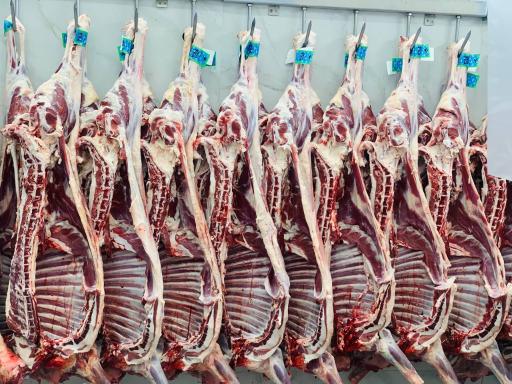 عکس پخش گوشت برادران صادقی